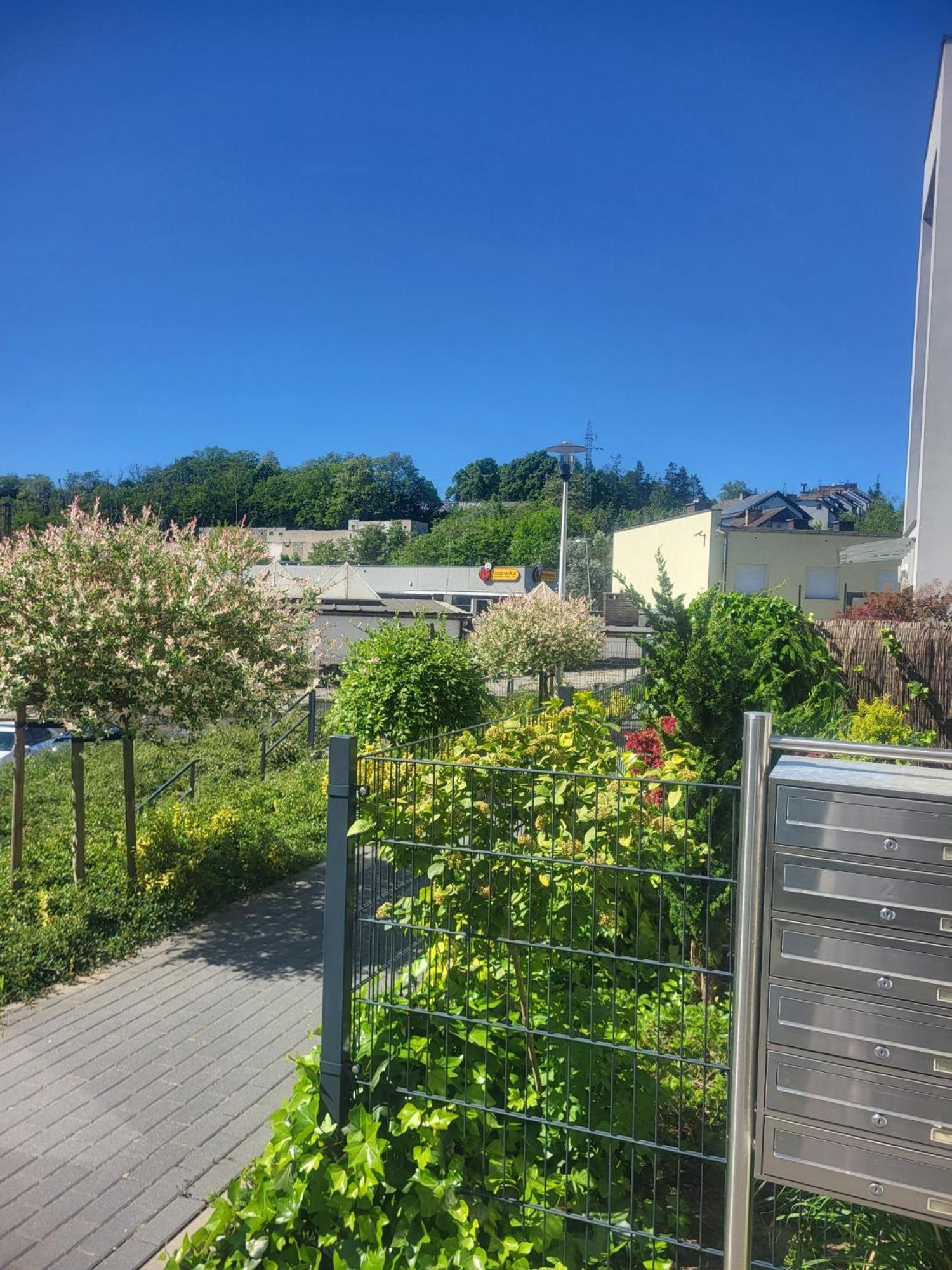 Apartamenty Olimpijska Gorzów Wielkopolski Exteriör bild